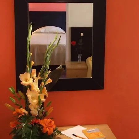 酒店 里奥马酒店